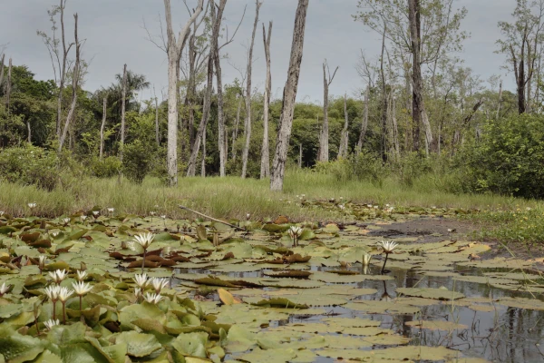 Anawilundawa wetland