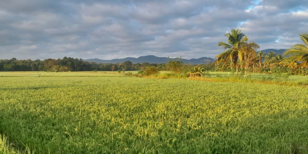 Sri Lanka Tour 18