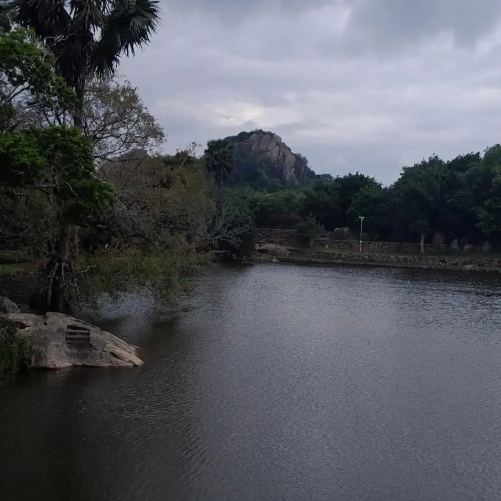 Sri Lanka Tour 63