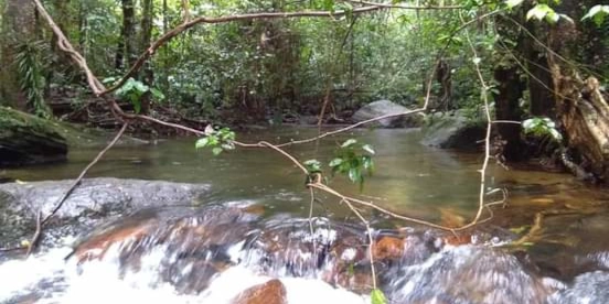 Sri Lanka Tour 17