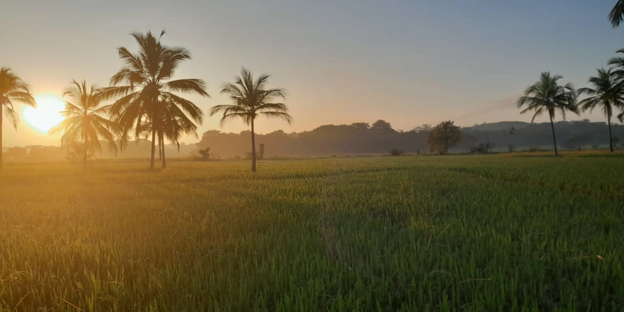 Sri Lanka Tour 16