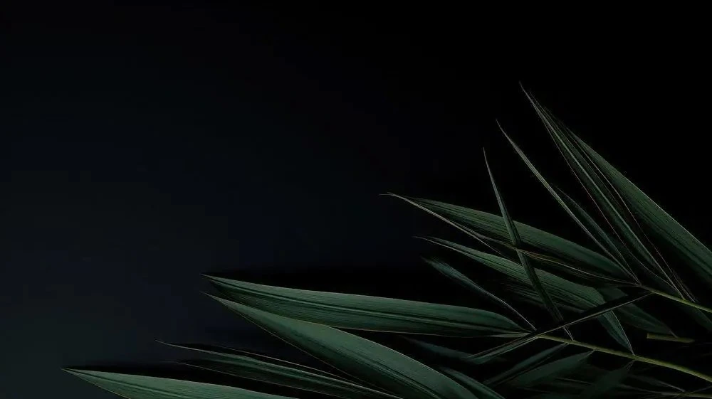 leave-background