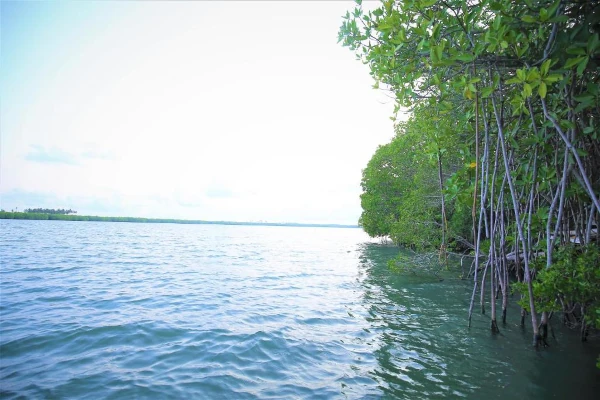 Rekawa Lagoon