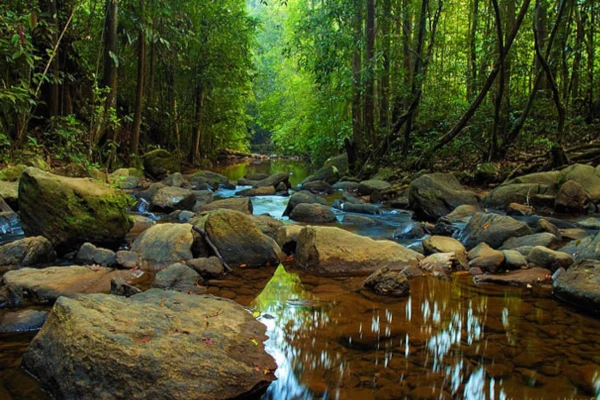 Singharaja Rain forest
