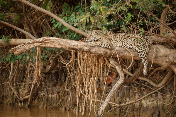 Wilpattu National Park